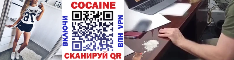 дарнет шоп  Гай  КОКАИН Fish Scale 