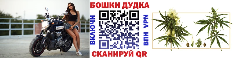 наркошоп  Гай  Бошки марихуана семена 